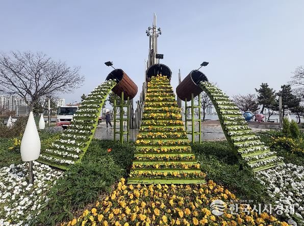속초시 사계절 꽃으로 덮인 속초…청초호 봄꽃 화단 조성 완료