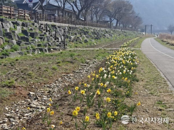 전주천 남천교 일원에 사계절 화사한 꽃밭 조성