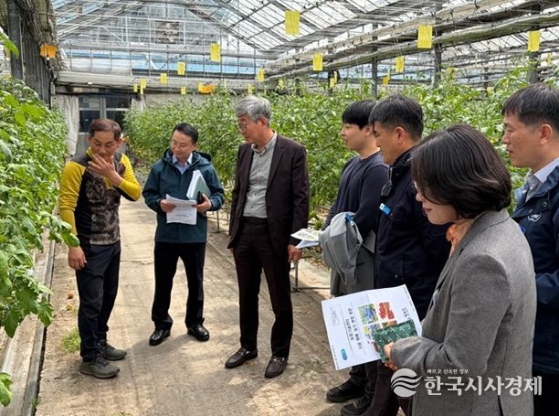 송광민 영광 부군수, 시설원예농가 현장 격려 방