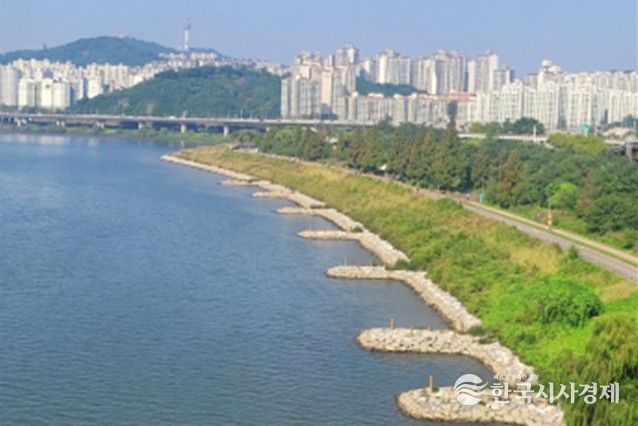 자연형 호안 복원(뚝섬한강공원)