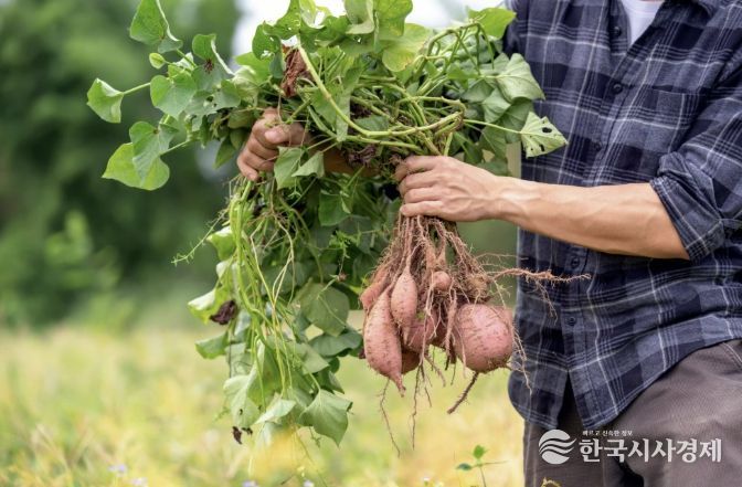 진안군, 지속가능한 친환경농업 지원 확대