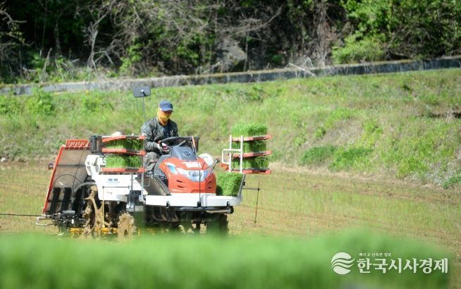 화천군이 지역 농가를 대상으로 농기계 수리 후 발생하는 폐유 수거 사업을 실시한다. 사진은 화천지역에서 이앙기 농기계로 모내기를 하고 있는 모습