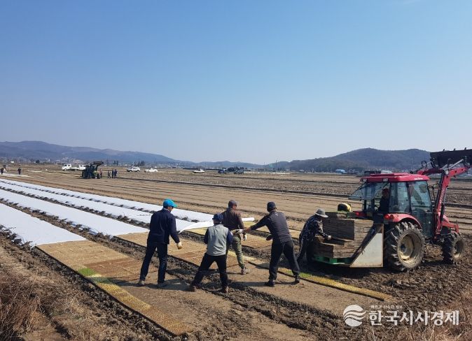 “못자리 설치는 4월 25일 이후에 하세요