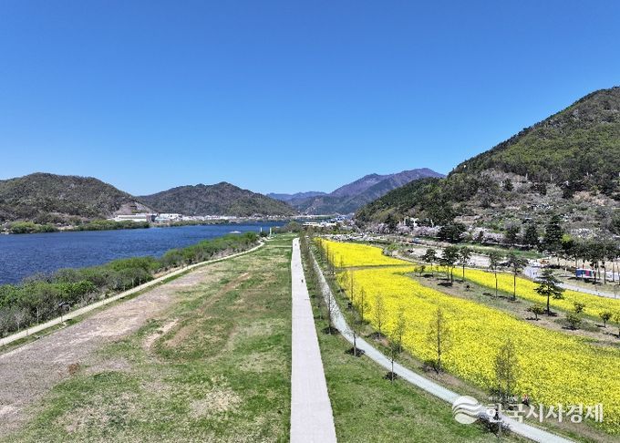 황산공원 포레스트 러닝코스