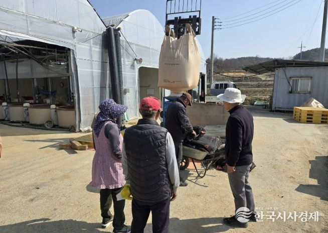볍씨 발아 점검 사진