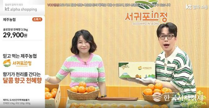 천혜향 홈쇼핑 방송