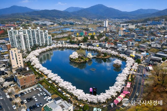 2026 연화지 벚꽃축제