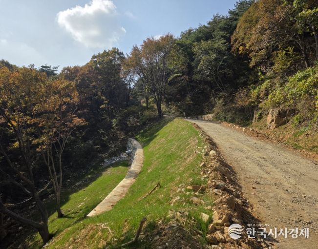 지난해 집중호우 산림 피해지 복구