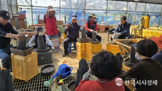 지난 13일 서산국화축제장에서 진행된 작품국화 재배기술 교육