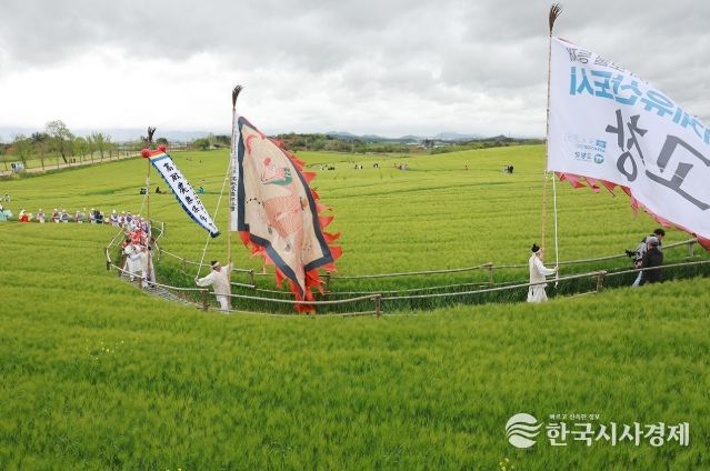 고창청보리밭축제