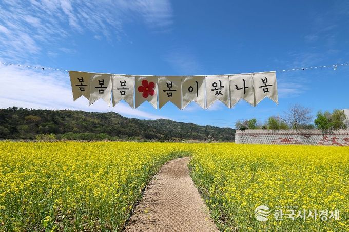 황룡강생태정원 꽃단지