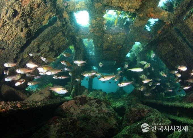 인공어초-하우스형 해중림초(거제 저구리)