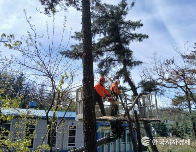 포항시가 태풍과 집중호우 등 재해로부터 시민의 생명과 재산을 보호하기 위해 ‘2026년 상반기 재해위험목 제거사업’을 본격 추진한다.